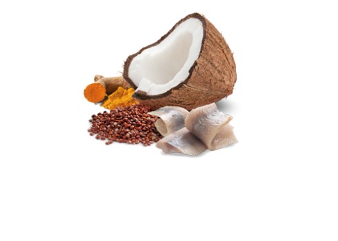 Farmina Quinoa Skin & Coat - Herring & Coconut kassikonserv 12x80g