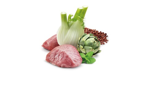 Farmina Quinoa Digestion kassikonserv 12x80g