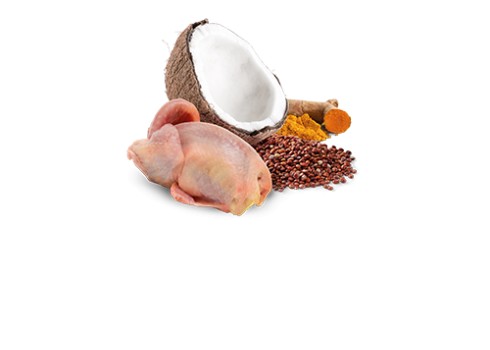 Farmina Quinoa Skin & Coat - Quail & Coconut kassikonserv 12x80g