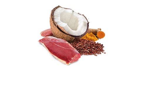 Farmina Skin & Coat - Duck & Coconut koerakonserv 6x285g