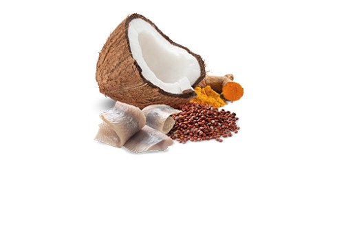 Farmina Skin & Coat - Herring & Coconut koerakonserv 6x285g