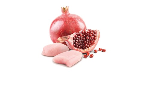 Farmina Prime Chicken & Pomegranate Puppy koeratoidukonserv 6x285g